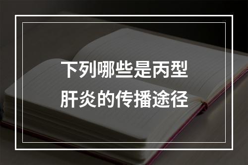 下列哪些是丙型肝炎的传播途径