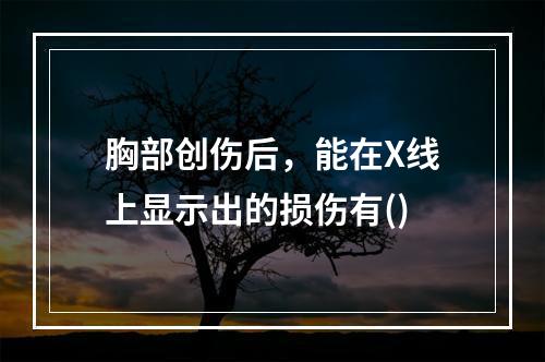 胸部创伤后，能在X线上显示出的损伤有()