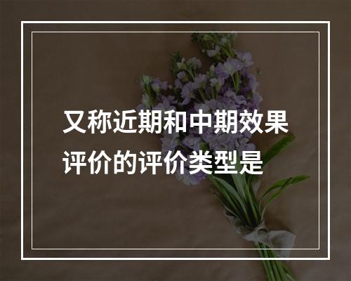 又称近期和中期效果评价的评价类型是