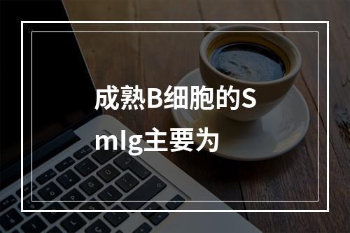 成熟B细胞的SmIg主要为