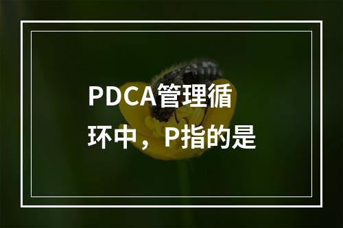 PDCA管理循环中，P指的是