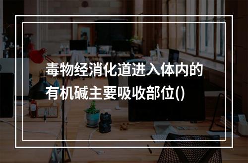 毒物经消化道进入体内的有机碱主要吸收部位()