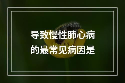 导致慢性肺心病的最常见病因是