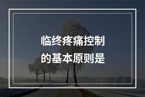 临终疼痛控制的基本原则是