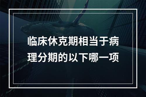 临床休克期相当于病理分期的以下哪一项