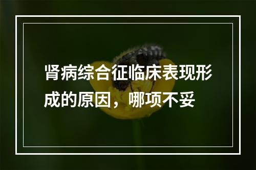 肾病综合征临床表现形成的原因，哪项不妥