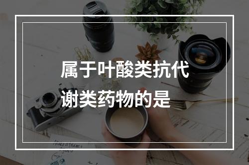 属于叶酸类抗代谢类药物的是