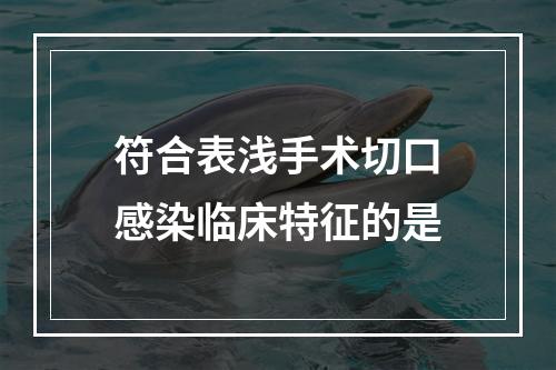 符合表浅手术切口感染临床特征的是