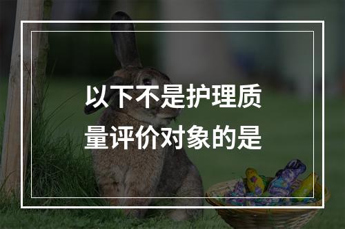 以下不是护理质量评价对象的是