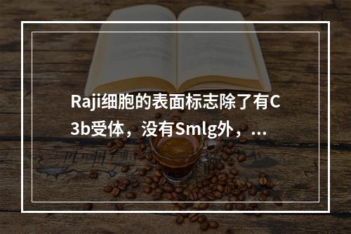 Raji细胞的表面标志除了有C3b受体，没有Smlg外，其他