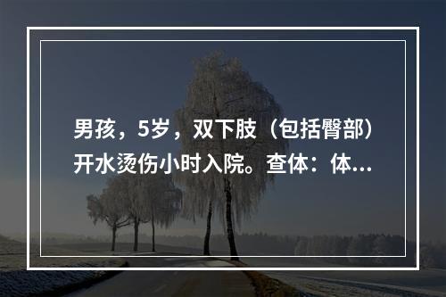 男孩，5岁，双下肢（包括臀部）开水烫伤小时入院。查体：体温：