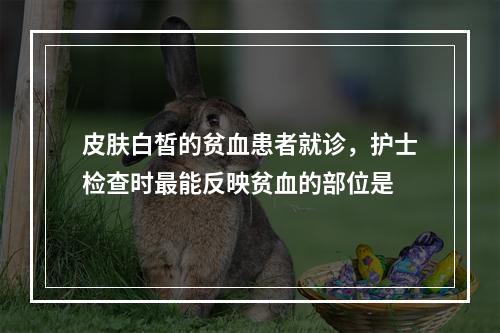 皮肤白皙的贫血患者就诊，护士检查时最能反映贫血的部位是