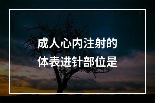 成人心内注射的体表进针部位是