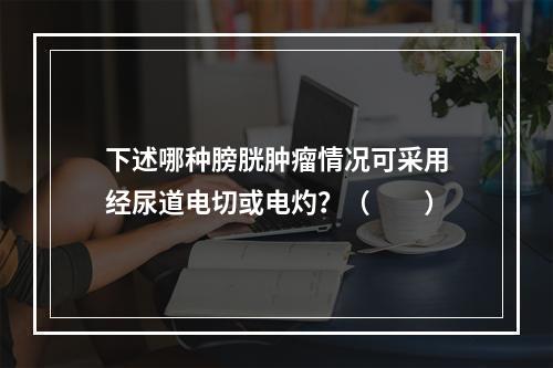 下述哪种膀胱肿瘤情况可采用经尿道电切或电灼？（　　）