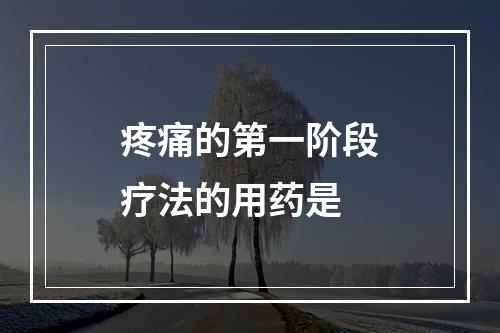 疼痛的第一阶段疗法的用药是