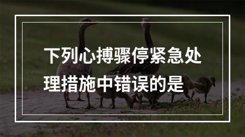 下列心搏骤停紧急处理措施中错误的是