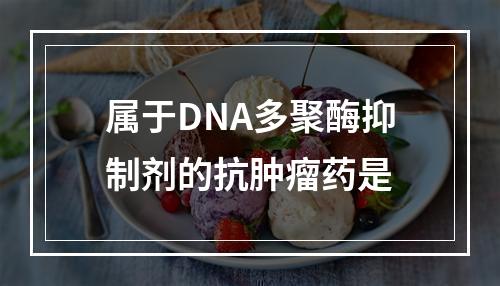 属于DNA多聚酶抑制剂的抗肿瘤药是