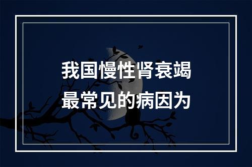 我国慢性肾衰竭最常见的病因为