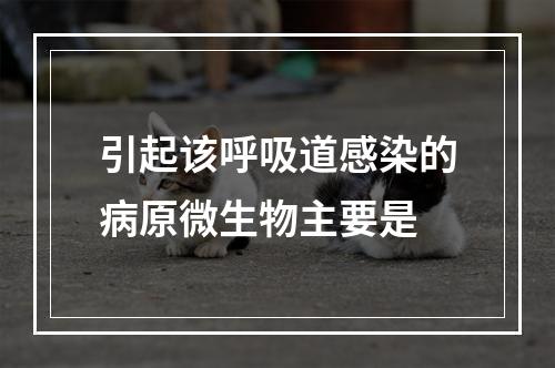 引起该呼吸道感染的病原微生物主要是