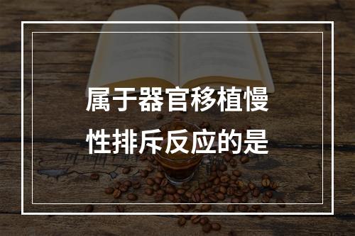 属于器官移植慢性排斥反应的是