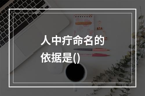 人中疔命名的依据是()