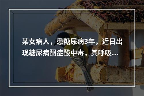 某女病人，患糖尿病3年，近日出现糖尿病酮症酸中毒，其呼吸特点