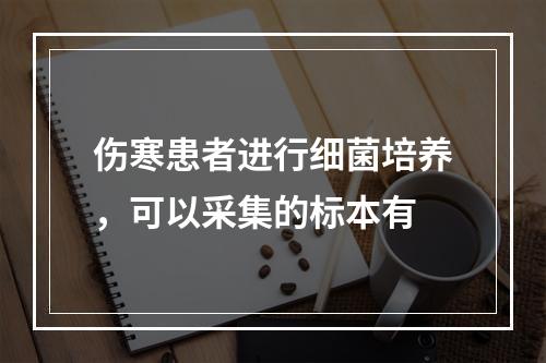 伤寒患者进行细菌培养，可以采集的标本有