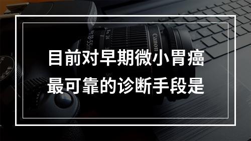 目前对早期微小胃癌最可靠的诊断手段是