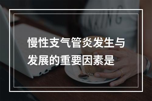 慢性支气管炎发生与发展的重要因素是