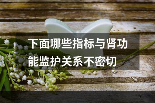 下面哪些指标与肾功能监护关系不密切