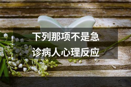 下列那项不是急诊病人心理反应