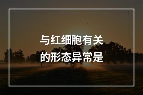 与红细胞有关的形态异常是