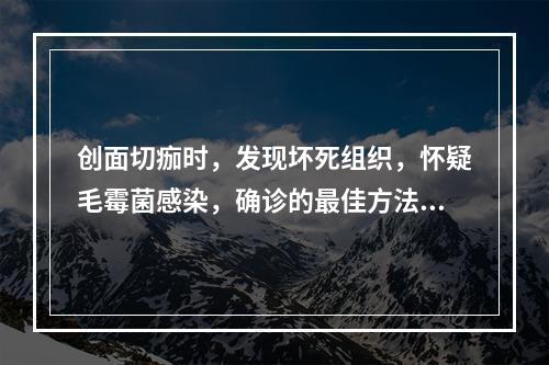 创面切痂时，发现坏死组织，怀疑毛霉菌感染，确诊的最佳方法是（