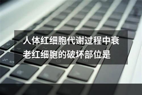 人体红细胞代谢过程中衰老红细胞的破坏部位是