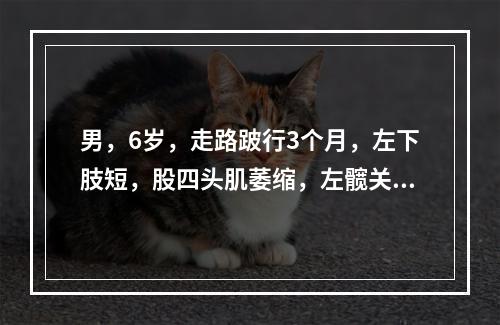 男，6岁，走路跛行3个月，左下肢短，股四头肌萎缩，左髋关节屈