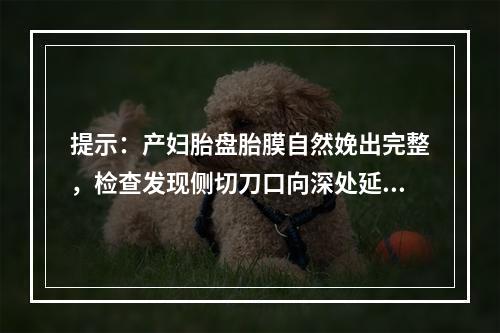 提示：产妇胎盘胎膜自然娩出完整，检查发现侧切刀口向深处延长，