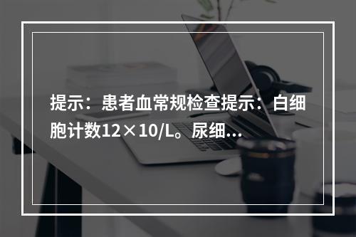 提示：患者血常规检查提示：白细胞计数12×10/L。尿细菌培