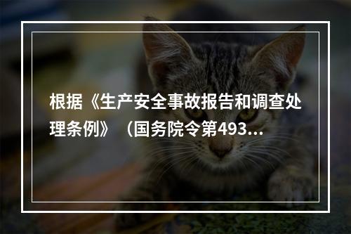 根据《生产安全事故报告和调查处理条例》（国务院令第493号）