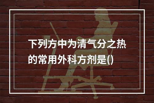 下列方中为清气分之热的常用外科方剂是()