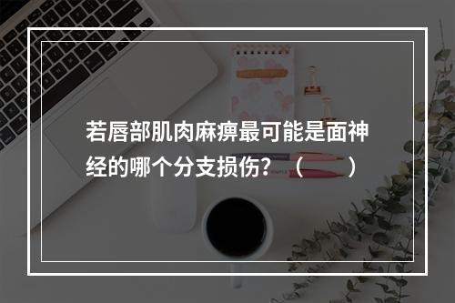 若唇部肌肉麻痹最可能是面神经的哪个分支损伤？（　　）