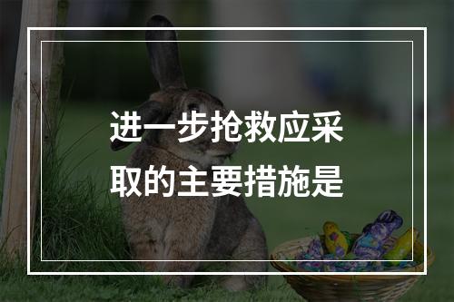 进一步抢救应采取的主要措施是