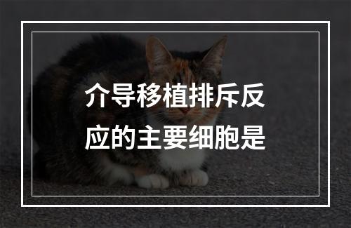 介导移植排斥反应的主要细胞是