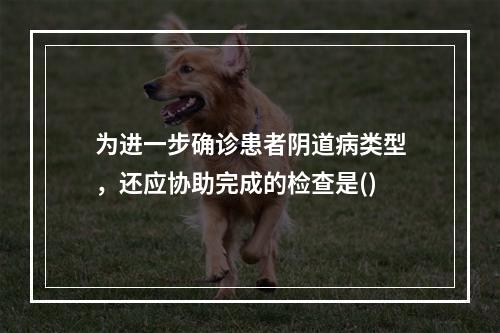 为进一步确诊患者阴道病类型，还应协助完成的检查是()