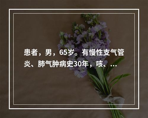 患者，男，65岁。有慢性支气管炎、肺气肿病史30年，咳、痰、