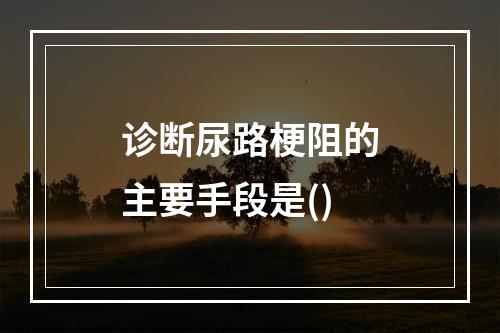 诊断尿路梗阻的主要手段是()