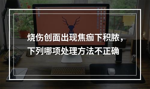 烧伤创面出现焦痂下积脓，下列哪项处理方法不正确