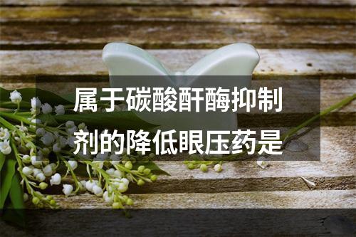 属于碳酸酐酶抑制剂的降低眼压药是