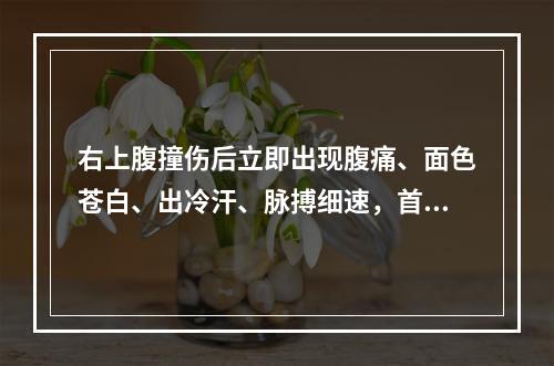 右上腹撞伤后立即出现腹痛、面色苍白、出冷汗、脉搏细速，首先考