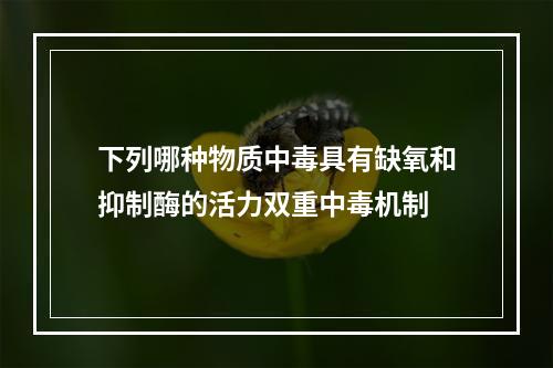 下列哪种物质中毒具有缺氧和抑制酶的活力双重中毒机制