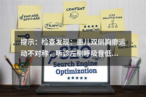 提示：检查发现：患儿双侧胸廓运动不对称，听诊左侧呼吸音低，心